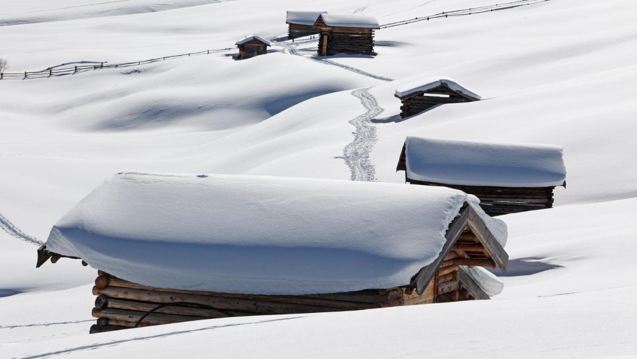 Forestis Dolomites Hotel Bressanone Exterior photo